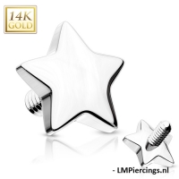 Dermal Top Star 14kt Weißgold 1,6mm