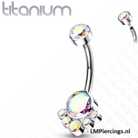 Piercing Titan Cluster CZ Lünette mehrfarbig