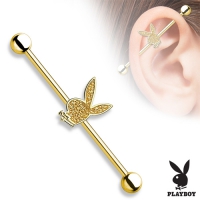 Industrial Piercing Playboy vergoldet