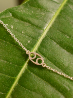 Armband sterrenbeeld - zilver