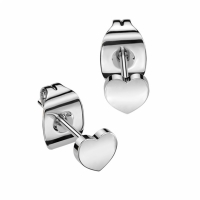 Oorbellen titanium plat hartje