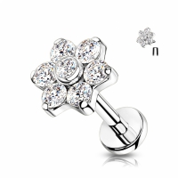 Titan CZ Blumentop 1,2x6 mm