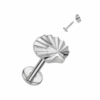 Titan gravierte Muscheloberseite 1,2x8 mm