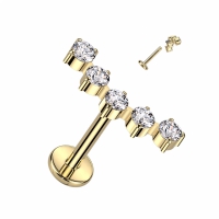 Titan 5 Edelsteine ​​rund 1,2x8 mm vergoldet