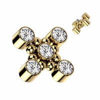 Dermal Top Square Shaped Top 1,6mm vergoldet
