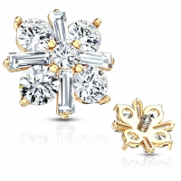 Dermal Top Princess Cut 1,6mm vergoldet