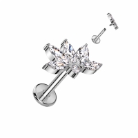 Piercing Titan elegant Marquise 1,2x8