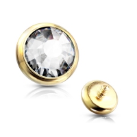 Dermal Top 5 mm goldfarben 1,6x5mm
