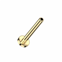Titan-Einstecksteg 0,8x8mm gold