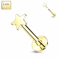 Piercing 14kt Basis Stern Push in 1,2x8