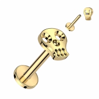 Piercing Totenkopf 1,2x6 gold