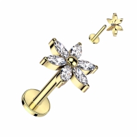 Piercing 6 Blüten Top 1,2x8 Gold