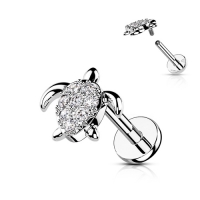 Piercing Schildkröte 8 mm