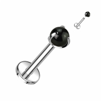 Piercing Naturstein mit Kralle schwarzer Achat