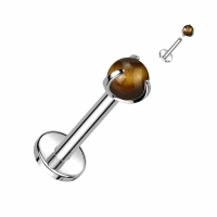 Natursteinpiercing mit Tigerauge-Kralle