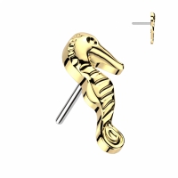 Piercing Seepferdchen Push in 1,2x6 Gold