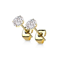 Ohrringe Titan Krappen Weißgold plattiert 4mm