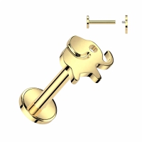 Piercing Elefantenspitze 8mm gold