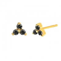 Goldene Ohrstecker mit schwarzen Steinen