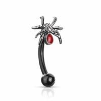 Piercing Spinne schwarz