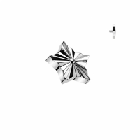 Dermal Top Stern graviert 1,6mm Silber