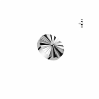 Dermal Top Kreis graviert 1,6mm Silber