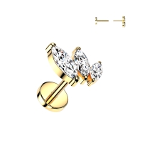 Piercing Push in Marquise 0,8X6mm Gold