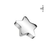 Dermal Top 4 mm Stern massiv Silber 1,6 mm
