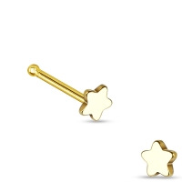Nasenpiercing Stecker Stern gold