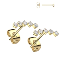Ohrringe 5 gefüttert Gold