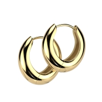 Ohrringe runder Ring breit gold