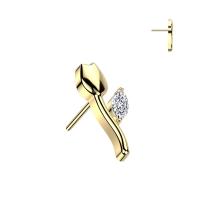 Piercing Titan Roségold