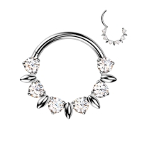 Piercing Titanring 6 Frontsteine ​​8mm