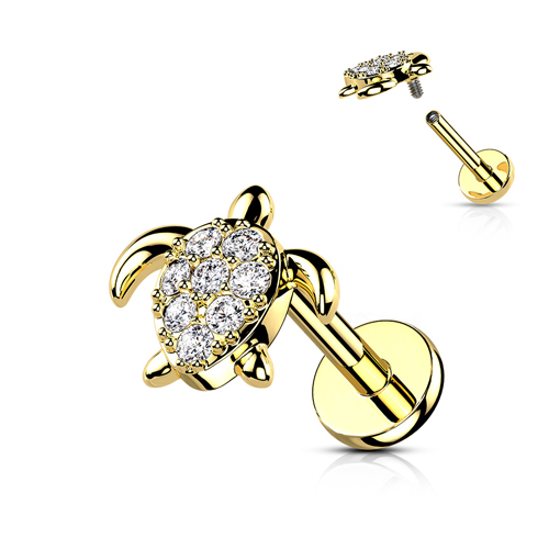 piercing turtle piercing turtle