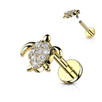 goldfarbene Piercing Schildkröte