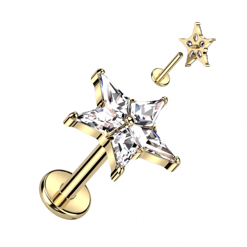 Piercing titanium top ster intern schroefdraad Piercing titanium top ster intern schroefdraad