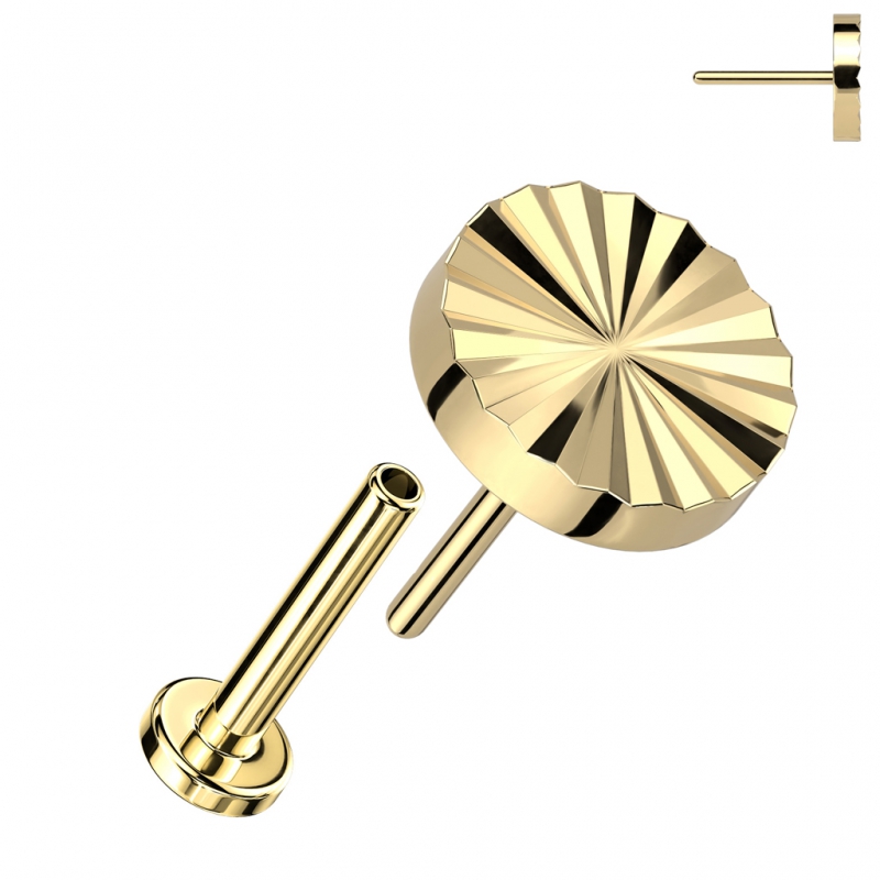 Piercing titanium gegraveerd rondje push in Piercing titanium gegraveerd rondje push in