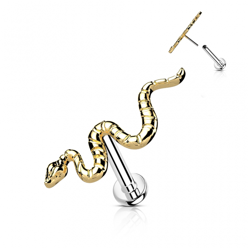 Piercing titanium snake push in Piercing titanium snake push in