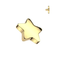 Dermal Top 4 mm Stern Massivgold 1,6 mm
