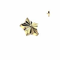 Dermal Top Stern graviert 1,6mm gold