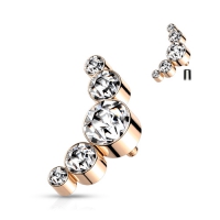 Dermal Top 5 Kreise Roségold Farbe 1,2mm