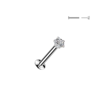 Piercing PVD ster steen