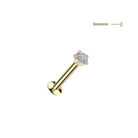 Piercing PVD ster steen