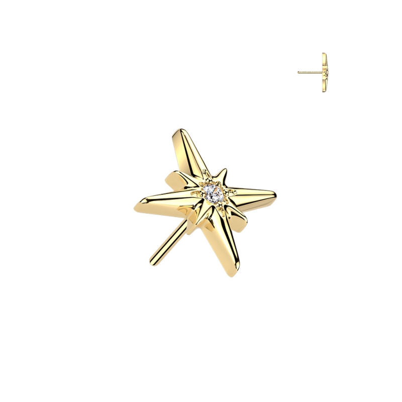 Piercing titanium TOP ster met sierlijk steen push in Piercing titanium TOP ster met sierlijk steen push in