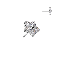 5CZ flower TOP - Titanium - Threadless Push In