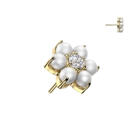 Titan-Einsteck-Musiknoten-Top ohne Gewinde, gold